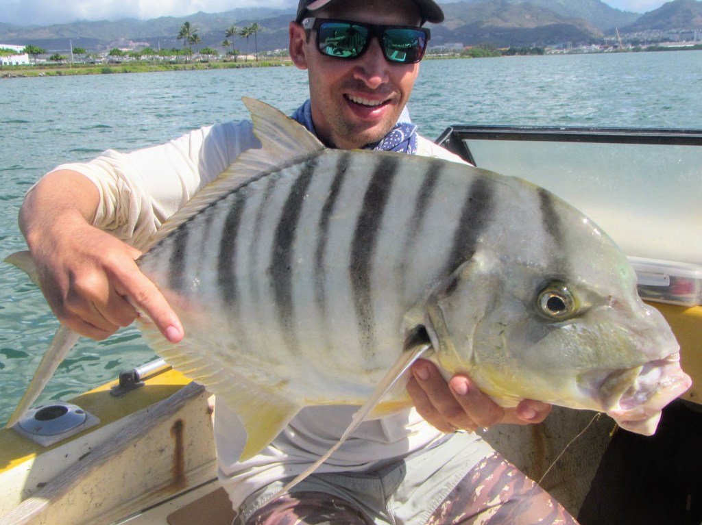 Golden Trevally or Ulua Pa'opa'o